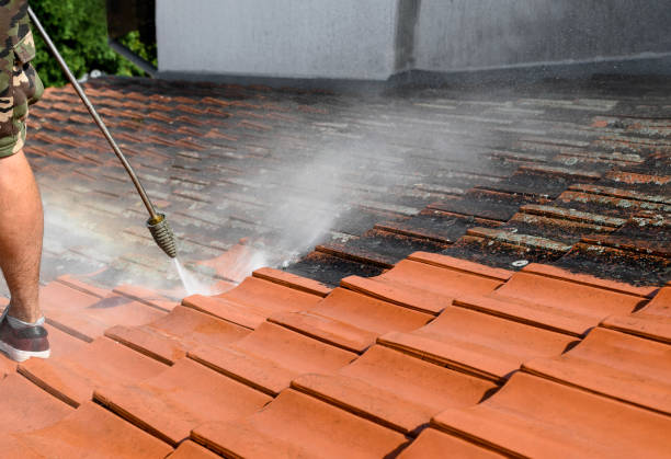 Best Pressure Washing Driveway  in Eatontown, NJ